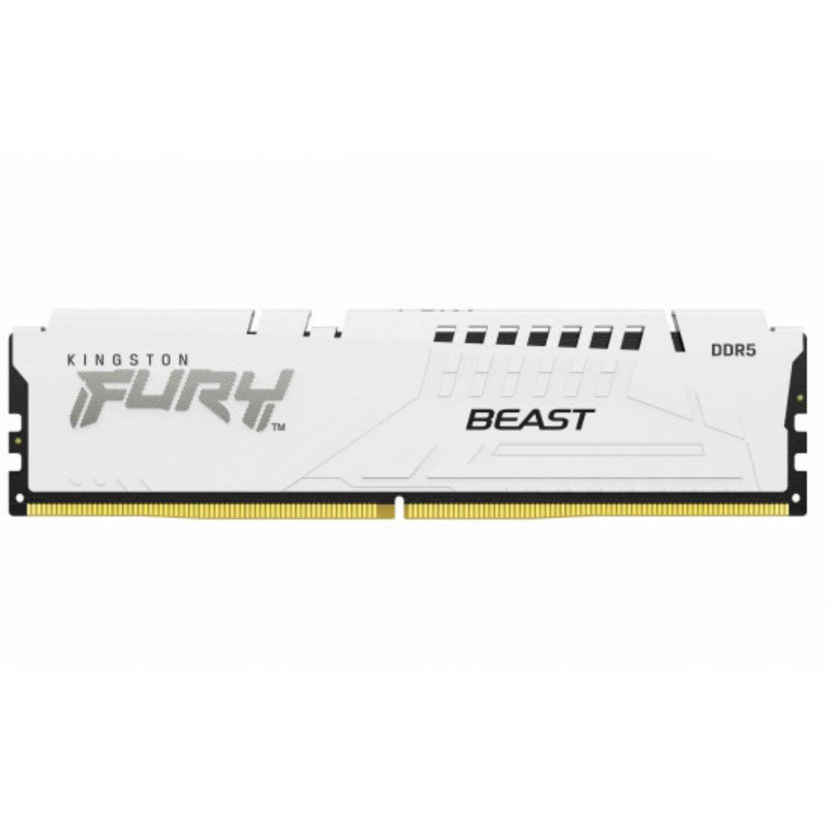 Kingston FURY Beast KF556C36BWE-16 16GB 5600MHz DDR5 U-DIMM System Memory