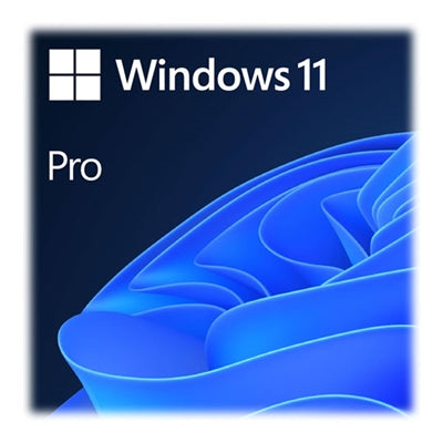 Microsoft Windows 11 Professional 64bit English USB Flash Drive